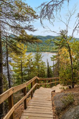 Kanada 'da Quebec' teki Saguenay Fjord Ulusal Parkı 'nda sonbaharda tepeden aşağıya doğru bir sahil yolu manzarası