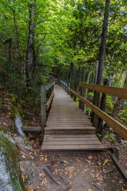 Kanada 'da Quebec' teki Saguenay Fjord Ulusal Parkı 'nın zirvesine giden yolda bir sahil yolu manzarası