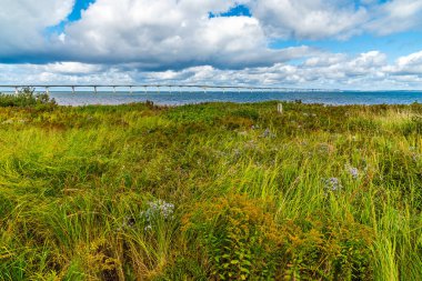 A view across the undergrowth towards the Confederation bridge, Prince Edward Island, Canada in the fall clipart