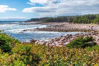 A view along rocky bays at Green cove, Ingonish on the Cabot Trail, Nova Scotia, Canada in the fall clipart