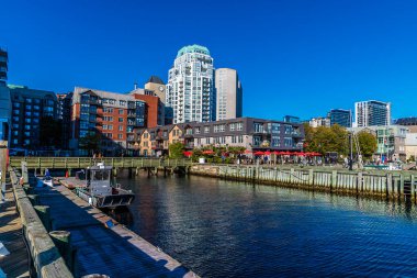 Sonbaharda Halifax, Nova Scotia, Kanada 'daki liman manzarası