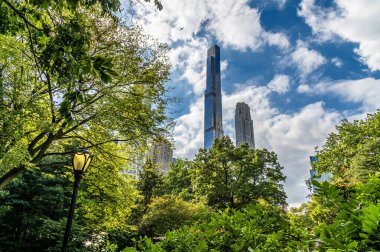 Sonbaharda Manhattan, New York 'taki Central Park' ın güney ucundaki gökdelenlere bakan ağaçların arasından bir manzara