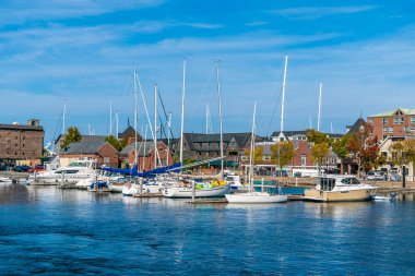 A view past boats in the marina towards the shoreline at Newport, USA in the fall clipart