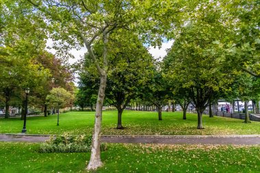 Sonbaharın erken saatlerinde Boston 'daki Kristof Kolomb Parkı' nda bir manzara