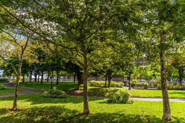 Sonbaharın erken saatlerinde Boston 'daki Kristof Kolomb Parkı' nın karşısındaki rıhtıma doğru bir manzara.