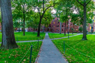 Harvard Yard kampüsünde, Harvard Üniversitesi, Cambridge, Massachusetts 'te sonbaharda Boston yakınlarında bir patika boyunca bir manzara.