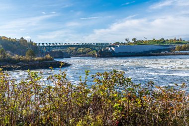 Saint John, New Brunswick 'te sonbaharda tersine düşen kıyı şeridi bitkisinin manzarası