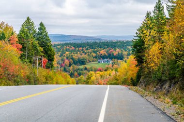 Sonbaharda Saint John, New Brunswick yakınlarında sonbahar renklerinin manzarası