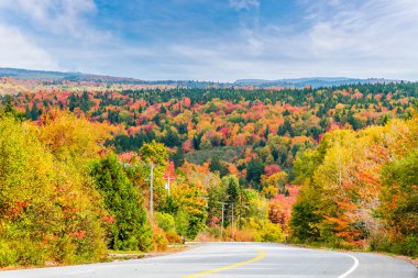 Sonbaharda Saint John, New Brunswick yakınlarındaki bir virajda yaklaşan sonbahar renklerinin görüntüsü