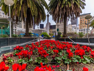San Francisco 'da sabahın erken saatlerinde Union Meydanı' nın girişinde bir çiçek tarhı manzarası.