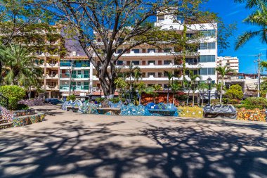 İlkbaharın başlarında Puerto Vallarta 'daki Lazaro Cardenas Parkı' nda bir manzara