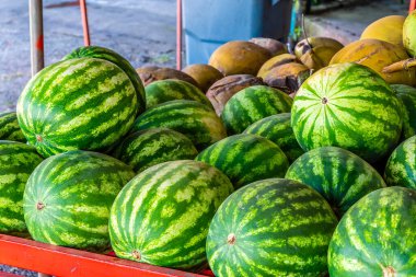 Puntarenas, Kosta Rika yakınlarındaki bir pazarda sulu karpuz manzarası
