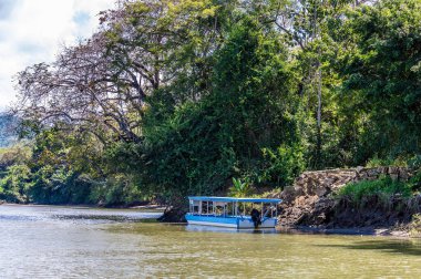 Bahar başında Kosta Rika 'daki Tarcoles Nehri' ndeki bir turist teknesinin manzarası