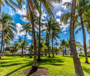 İlkbaharda Miami 'deki Güney Sahili' nin yanındaki Lummus Parkı manzarası