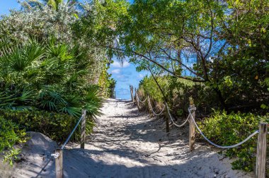 Baharda Miami 'deki South Beach' e giden kumlu bir patika manzarası.