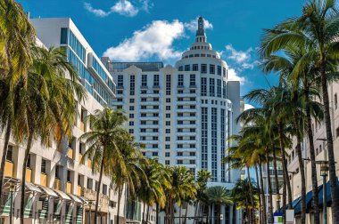 İlkbaharda Miami 'de Güney Sahili açıklarında bir palmiye ağacının manzarası.
