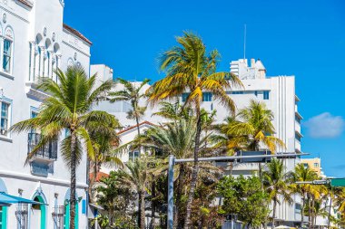 Okyanus kıyısındaki palmiye ağaçlarının yanından geçen bir manzara. Güneşli bir günde, Miami 'de, baharda.