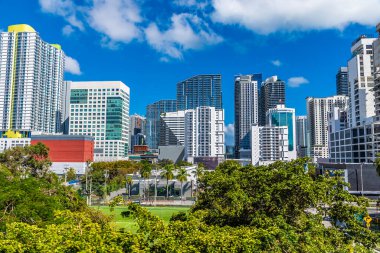 Baharda Miami şehir merkezindeki gökdelenlere ve gökyüzüne doğru bir parkın manzarası.
