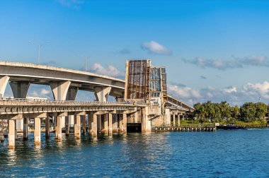 İlkbaharda Miami şehir merkezindeki Miami Köprüsü 'nün kıyısında bir manzara.