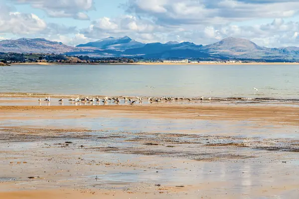 İlkbaharda Llanbedrog, Galler için sahilden açık deniz manzarası
