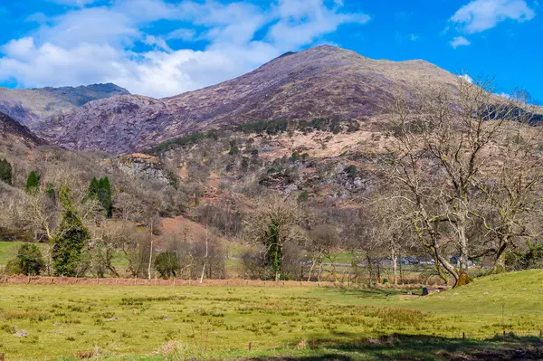 Bahar zamanı Galler 'in Beddgelert kentindeki Snowdonia eteklerindeki kayalık yamaçlara doğru bir manzara.