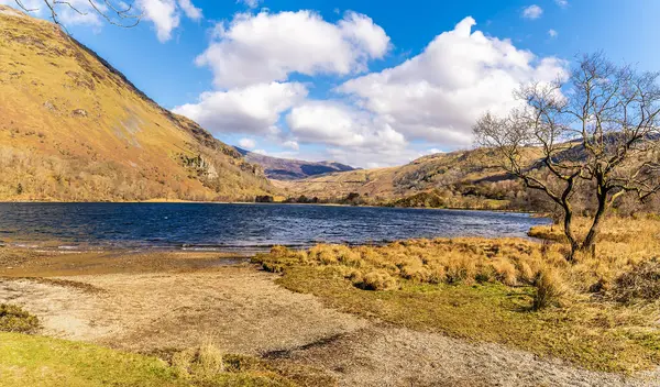 Gwynant gölünün kıyısında Beddgelert, Galler 'de Snowdonia eteklerinde bir manzara
