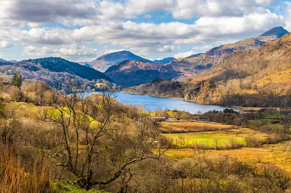 İlkbaharda Galler, Snowdonia 'daki Gwynant Gölü' ne bakan bir vadi.