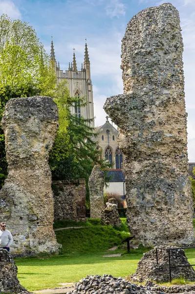 Baharın aydınlık bir gününde Bury Saint Edmunds 'daki Abbey Gardens' taki Abbey harabeleri arasında bir manzara.
