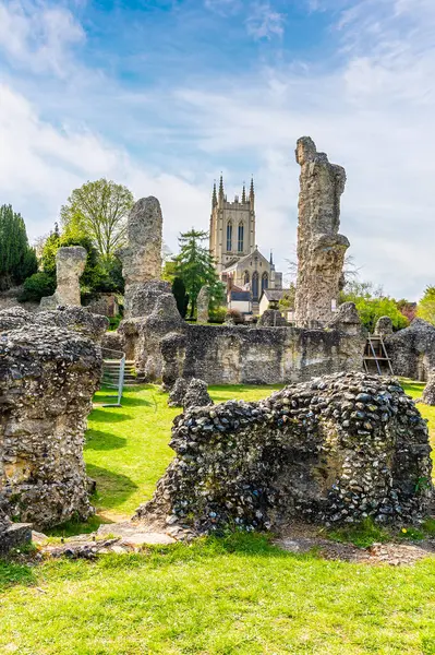 Manastır boyunca uzanan manzara, ilkbaharda güneşli bir günde Bury Saint Edmunds 'daki Abbey Gardens' taki katedrale doğru ilerliyor.