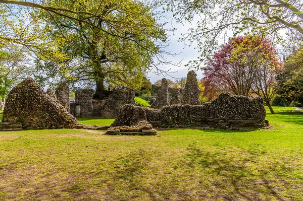 Baharın aydınlık bir gününde Manastır Bahçeleri boyunca Bury Saint Edmunds 'daki manastır harabelerine doğru bir manzara.