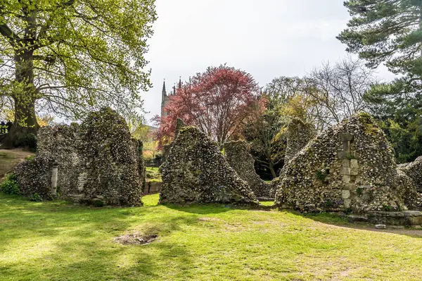 Baharın aydınlık bir gününde Bury Saint Edmunds 'daki Abbey bahçesindeki manastır harabelerinin manzarası.