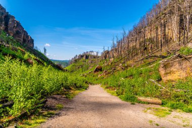 Vadinin aşağısındaki vadi baharda Pravcicka Kapısı kemerine açılıyor.