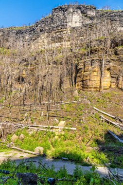 Bahar mevsiminde Pravcicka Kapısı kemerine giden yolun ortasındaki vadiden bir manzara.