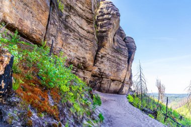 İlkbaharda Pravcicka Kapısı kemerine giden yolun orta kısmının yanındaki kaya yüzeyi boyunca bir manzara.
