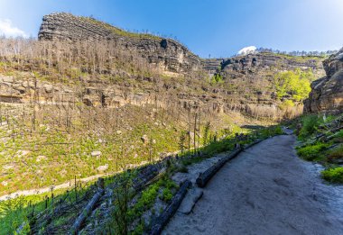 Baharda Pravcicka Kapısı kemerine giden yolun ortasından geriye bakan bir manzara
