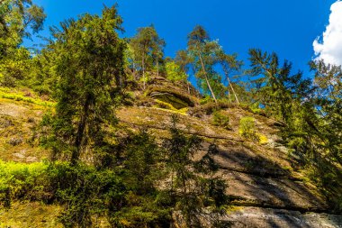 İlkbaharda İsviçre 'de Kamenice nehrinin üzerindeki sarı liken renkli bir teknenin manzarası.