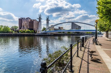 Manchester kanalı kıyı şeridi boyunca Salford Quays, Manchester, İngiltere 'de yaz mevsiminde