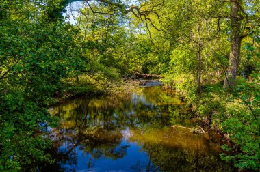 Goyt Nehri 'nin aşağısındaki Midland Demiryolu viyadükünün yanında İngiltere' nin New Mills şehrinde yaz aylarında High Peak 'te bir manzara.