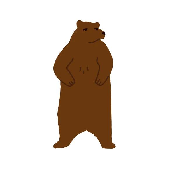 Retrato Urso Pardo Suas Patas Traseiras Olhando Para Distância Grande — Vetor de Stock