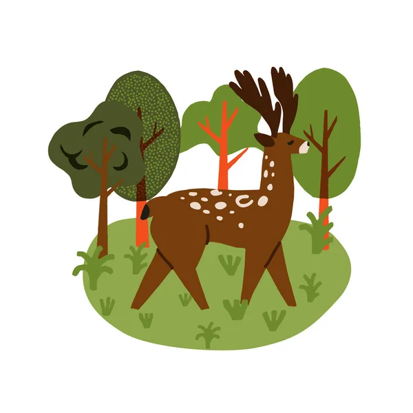 Cute Pollard Wild Nature Brown Deer Woods Buck Forest Meadow — Stock Vector