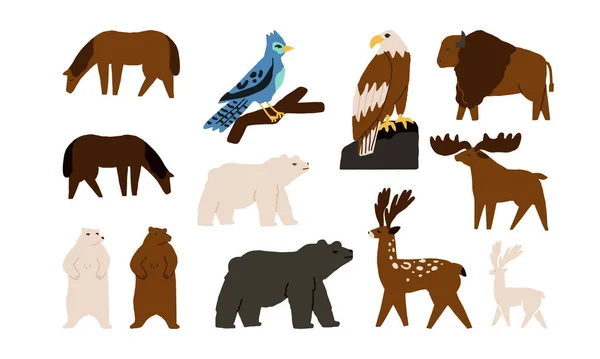 Wild forest animals and birds set. Zoo, mountains fauna collection. Grizzly bear, brown and polar bear, moose, buffalo, deer, horses, eagle and blue jay. Vector stickers, icons, design elements.