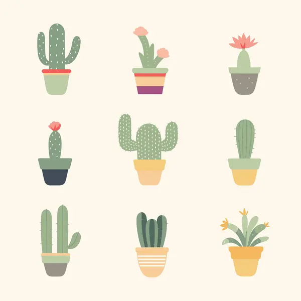 Kolekcja Różnych Kaktusów Kolorowe Garnki Minimalistyczny Zestaw Kaktusów Pustynne Rośliny Wektory Stockowe bez tantiem