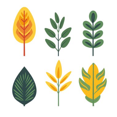 Farklı yaprak dizaynları düz stil, yeşil sarı yaprak illüstrasyonu izole edilmiş beyaz arkaplan. Çeşitli yaprak desenleri grafik tasarımı koleksiyonu. Doğa, botanik elementler vektör sanatı