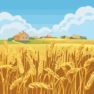 Altın buğday tarlası olgunlaşmış hasat, mavi gökyüzünün altındaki kırsal evler. Kırsal alan, sarı buğday kulakları, çiftçilik sahnesi, yaz günü. Çiftlik evi tarımla çevrili, ekinler sallanıyor.