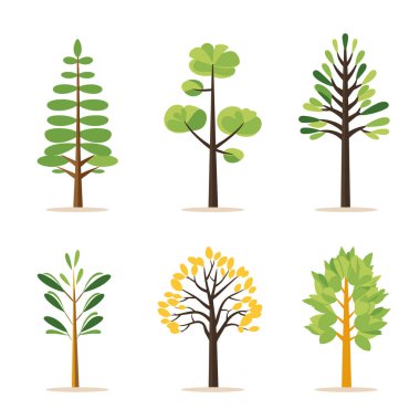Yaprak şekilleri değişen altı farklı çizgi film ağacı mevsimleri temsil ediyor. Ağaçların geçişi, sonbaharı gösteren yeşil sarı yapraklar, stilize edilmiş basit, uygun eğitim materyali hakkında