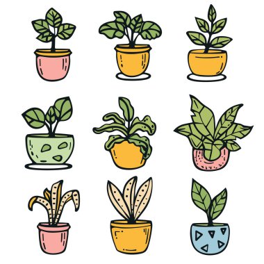 Elle çizilmiş saksı bitkileri, renkli saksılar çeşitli kapalı alan bitkileri. Basit çizgi sanatı, bitki çizimi, karikatür iç bahçe, ev bitkileri koleksiyonu, renkli çömlek.