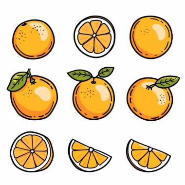 Parlak portakal çizimi, portakallar, yarı yarıya, portakal dilimleri. Çizgi film narenciye, taze portakal yeşil yapraklar, turuncu takozlar izole edilmiş beyaz arka plan. Renkli meyve