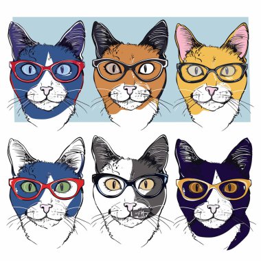 Six hipster cats wearing stylish glasses, colorful feline faces illustration. Hip, trendy cats portraits, eyewear fashion, fun cartoon animal art. Creative pet graphics, different cat breeds cool clipart