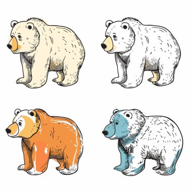 Dört ayı, beyaz arka planda duran farklı renkler gösteriyordu. Üst ayılar doğal renklere sahipken, alt turuncu mavi renklere. Detaylı kürk dokusu, dost canlısı ayı yüzleri, elle çizilmiş.