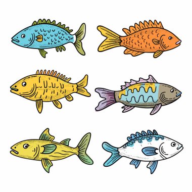 Altı renkli balık çizimi, detaylı pullar, solungaçlar, karikatür tarzı deniz canlıları. El yapımı tropik balık koleksiyonu, çeşitli şekiller, canlı renkler, deniz yaşamı, izole edilmiş beyaz arka plan